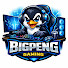 Zh19TFe5_VI-channel-avatar-BigPeng Gaming