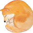 ij3SdkA56DU-channel-avatar-ぽち