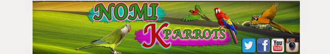 NOMI K PARROTS YouTube channel avatar