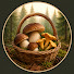 wCsRDJ07mhc-channel-avatar-The Mushroom Path
