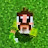 Perrin Minecraft For Kids