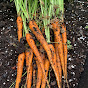 We Grew This Avatar