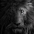 vc5bUKMZnhU-channel-avatar-The Truth Hurts