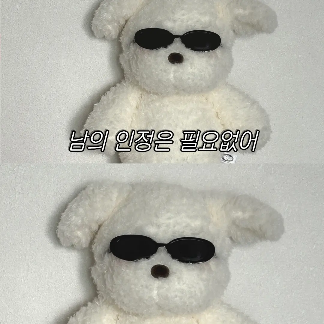 커뮤니티 첨부 이미지