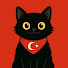 SIhrKPuwaNg-channel-avatar-Turkish Cat: Турецкий для начинающих