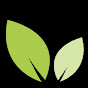 Regenesis Life logo