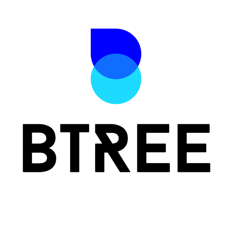 BTree Systems Logo