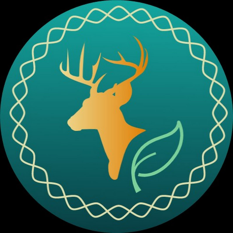 瑟琳巫閣 Selene's Attic