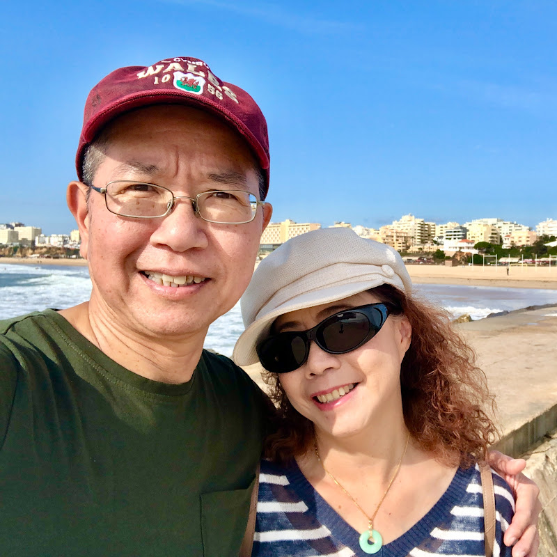 南威爾斯圖夫     (移民英國30年)  SWALESTF Logo