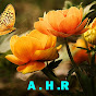 African Home Remedies logo