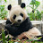 @later-threekingdoms