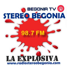 STEREO BEGONIA