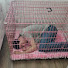 RaYL1qOyTno-channel-avatar-enricSslave