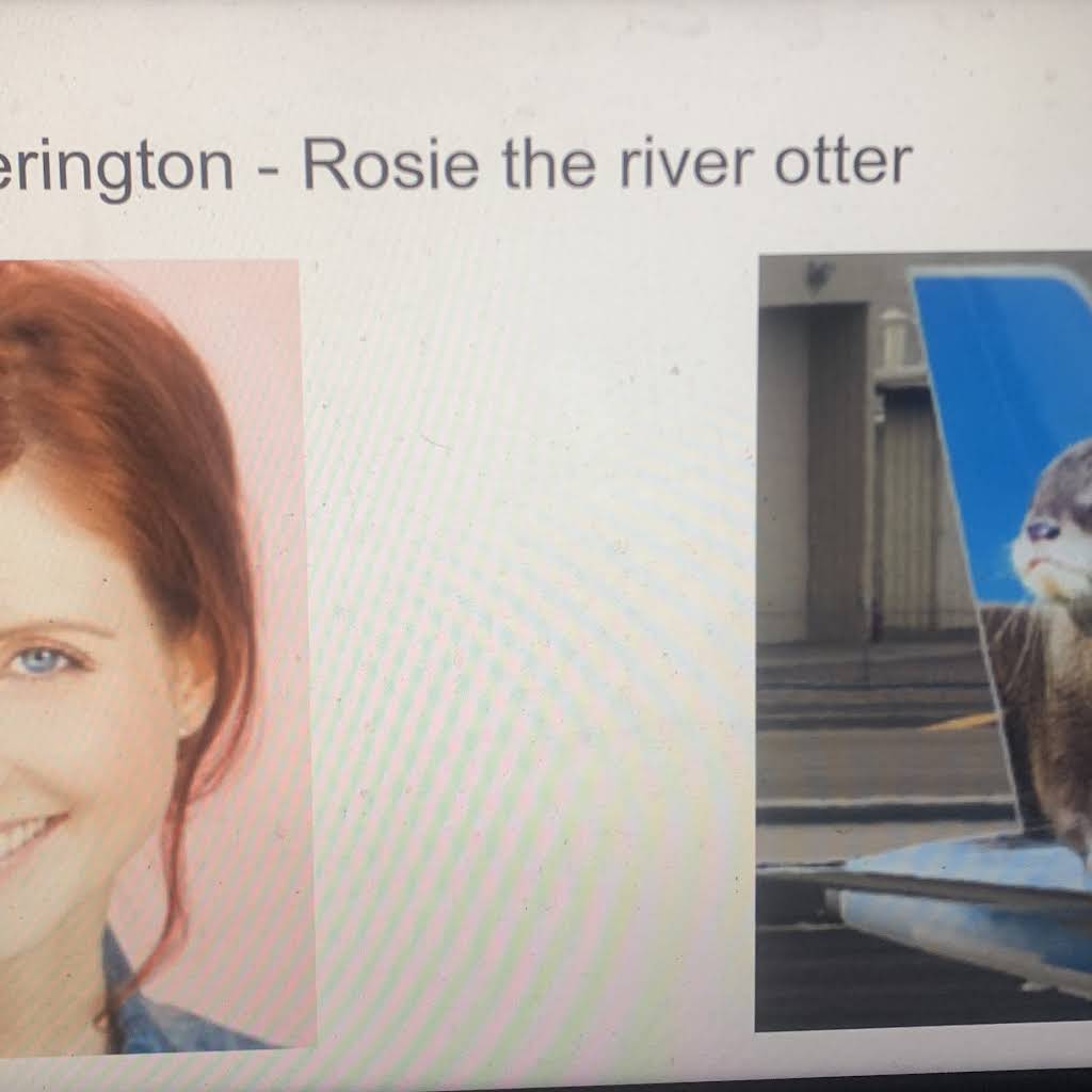 Shimon of birds and Super Mario fan2008 - YouTube