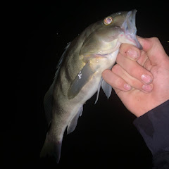 LJ’s_fishing_things