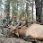 Steve Chappell- Elk Camp TV