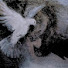 3gcxJ6onNQQ-channel-avatar-coosic