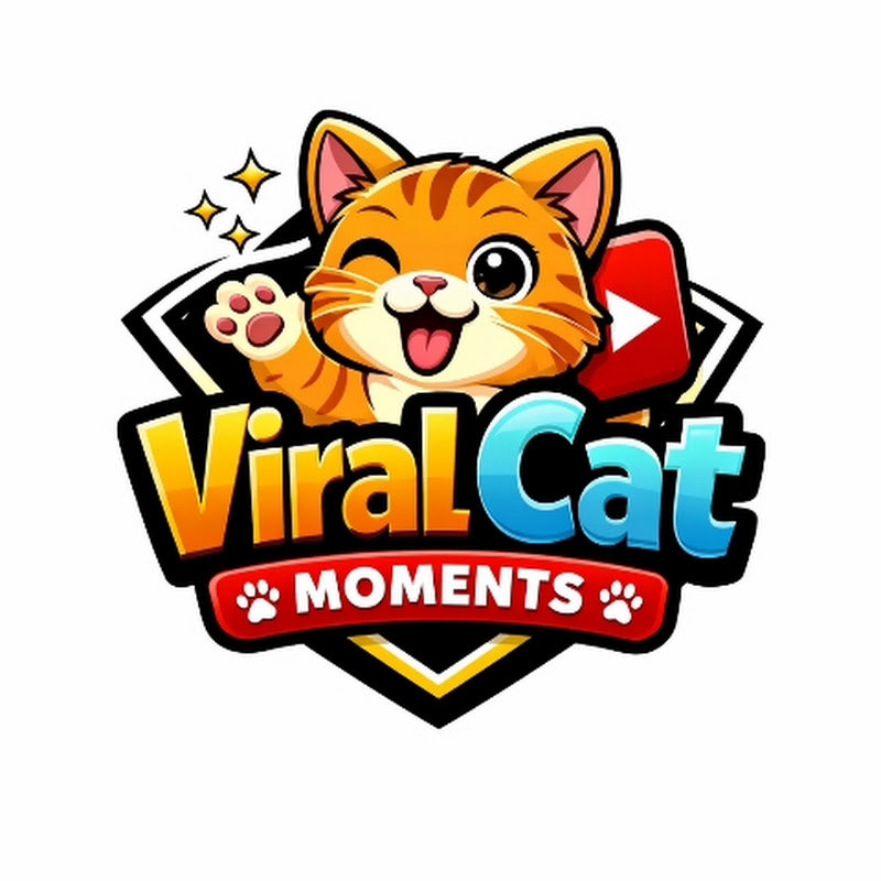 Viral Cat Moments