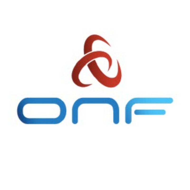 Open Networking Foundation
