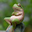 @mirz4e's avatar