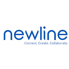 Newline Interactive net worth