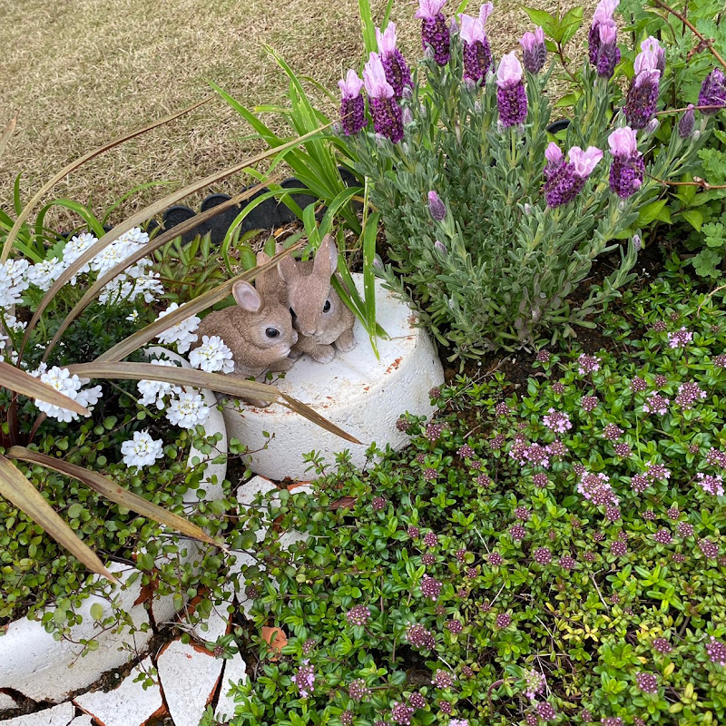 Ozachan channelのサムネイル