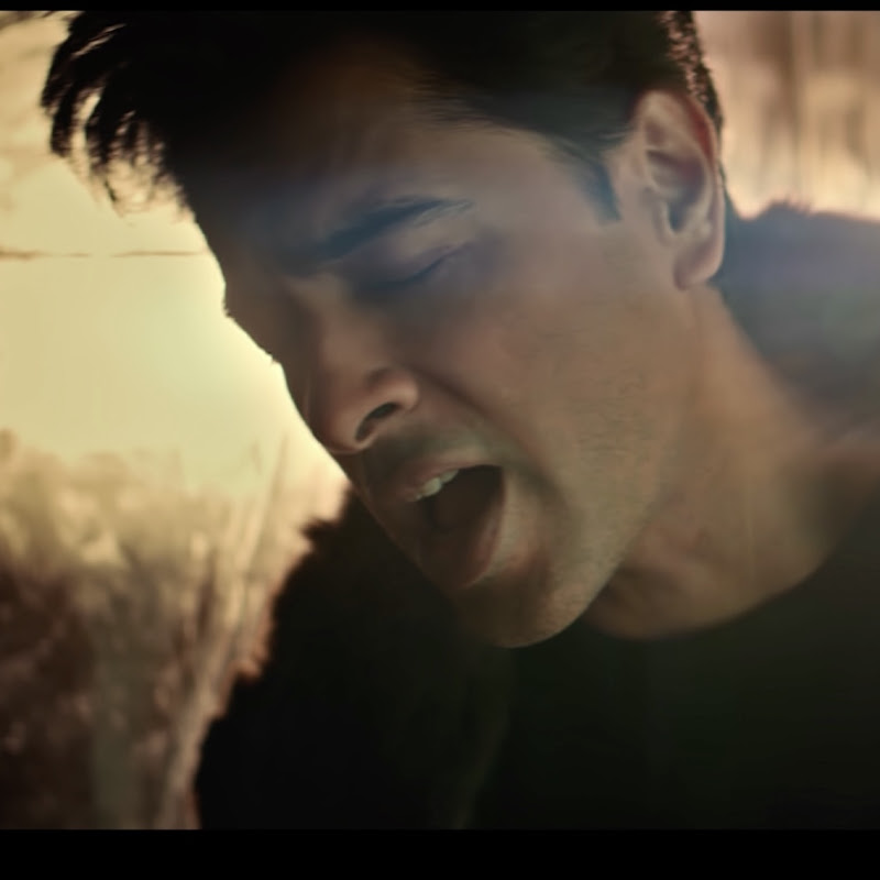 Shehzad Roy