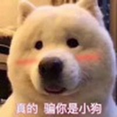 宠物搞笑视频アイコン画像