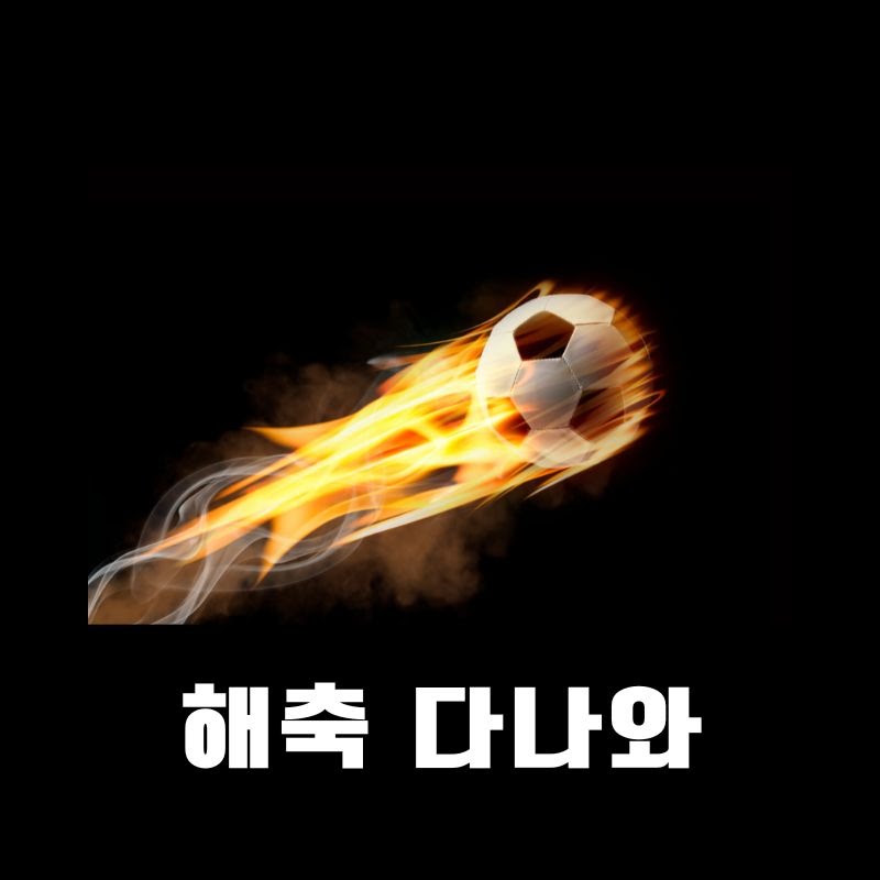 해축다나와 - 해외축구전문무료분석