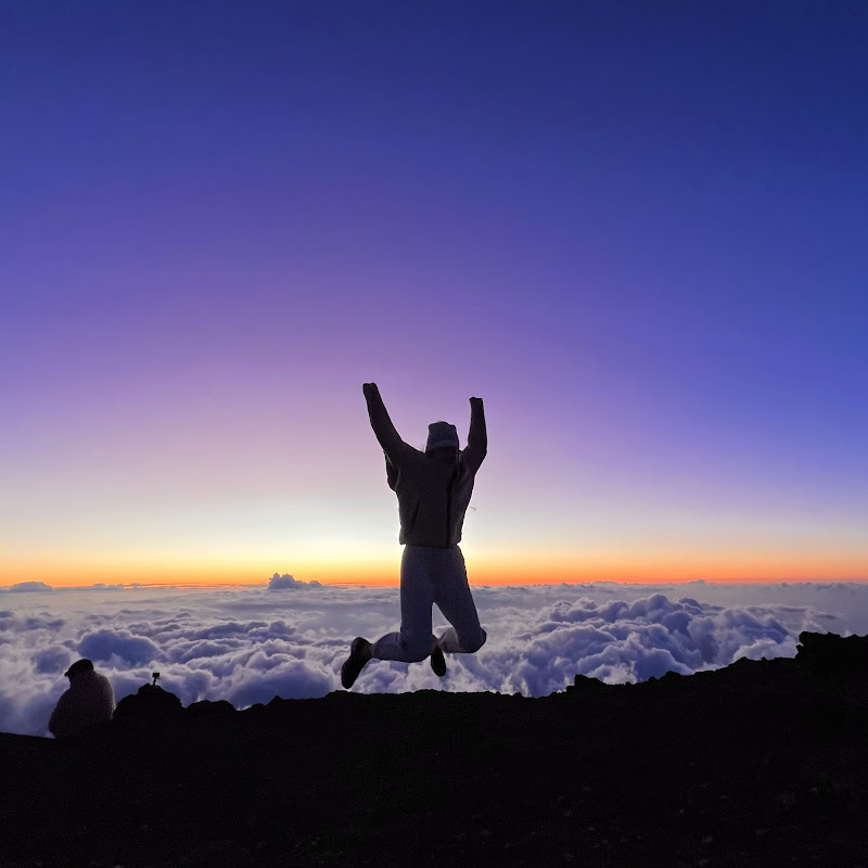 나나제인, 똑똑한 여행 Logo