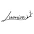 EsYTTkM7LkQ-channel-avatar-Luoniva