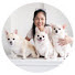 06i1k8pOM3I-channel-avatar-Cozy Kitchen & Paws