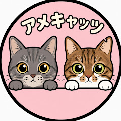 アメキャッツ