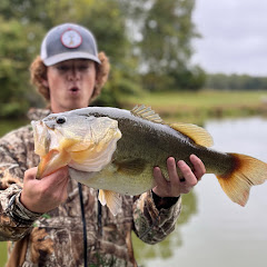 Sawyer Lemon