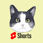 CatPusic Shorts