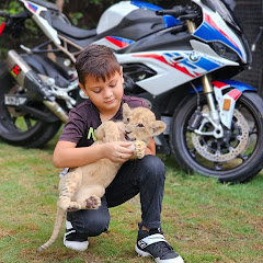 Azan butt tiger