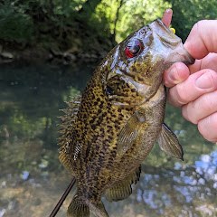The Multi-Species Angler