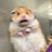 @pransisbacon