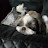 @최몽이-w7x