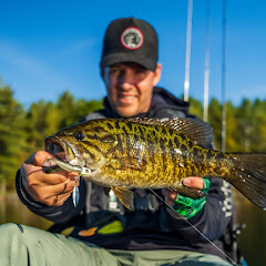 The Big Fish Energy