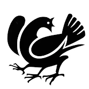 熊野那智大社【公式】