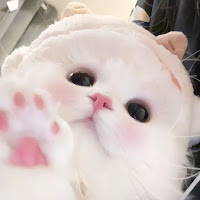 janna ₊᪥⋆. ݁ profile image