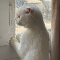 شوشة