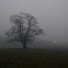 dTVJZGznFiI-channel-avatar-The Empty County