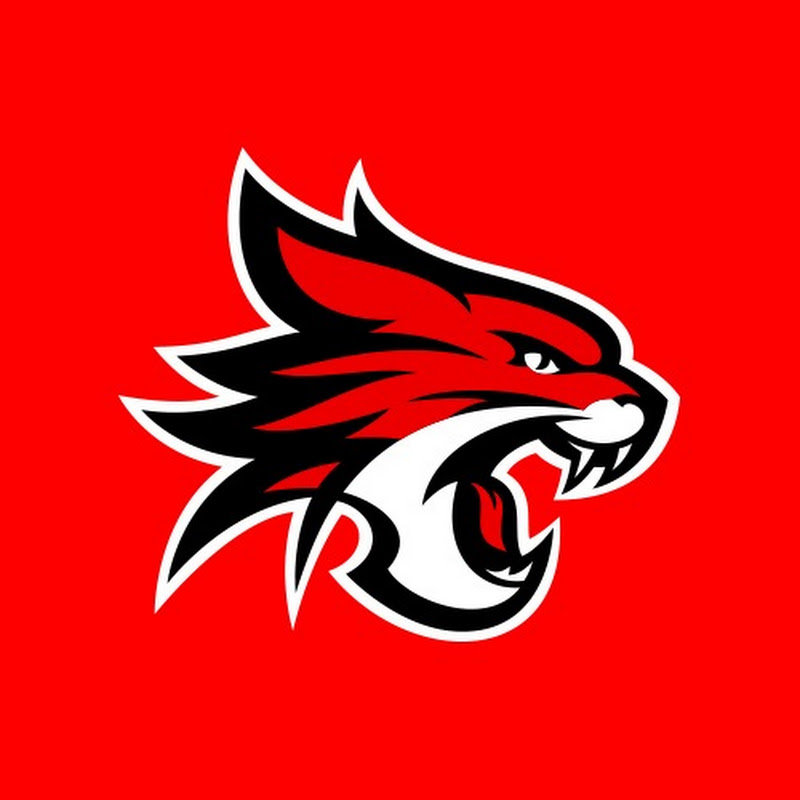 Perth Wildcats