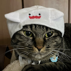 せたちょぴちゃんねる