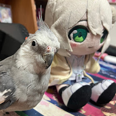 如月ハジメ