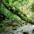 @rainforestnights4785 Avatar