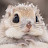 @cm1112-p
