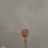 Avatar de @OmarJarrar-mz9xq
